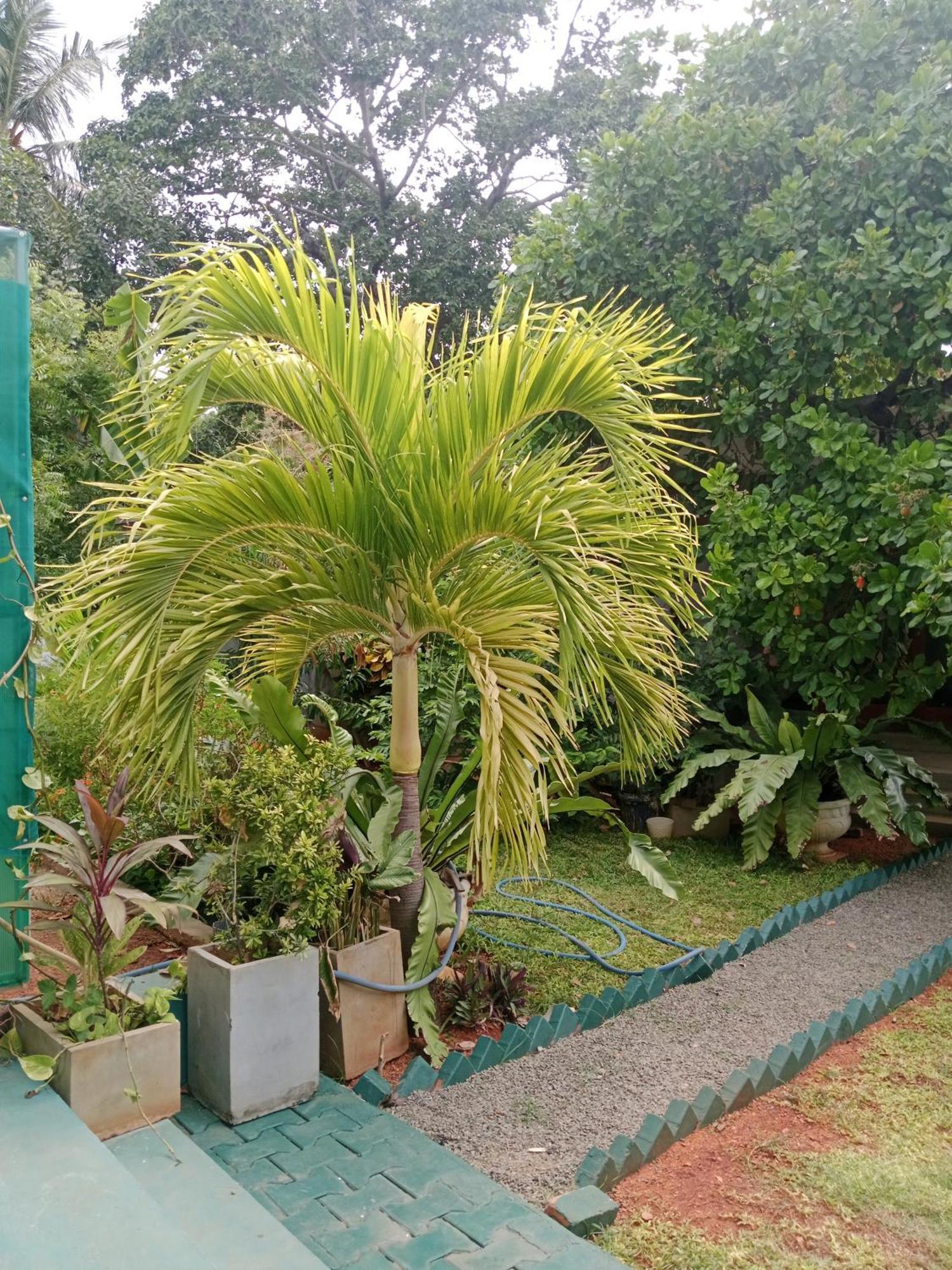 Home Stay Resort Нилавели Екстериор снимка